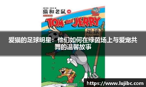 爱猫的足球明星：他们如何在绿茵场上与爱宠共舞的温馨故事